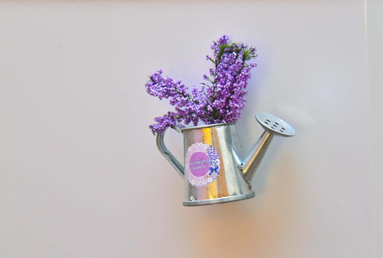 Apartament Golden Lavender